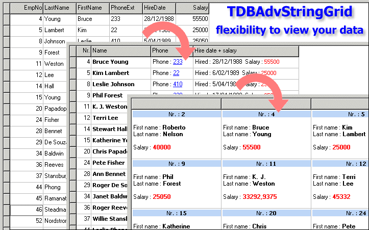 TDBAdvGrid