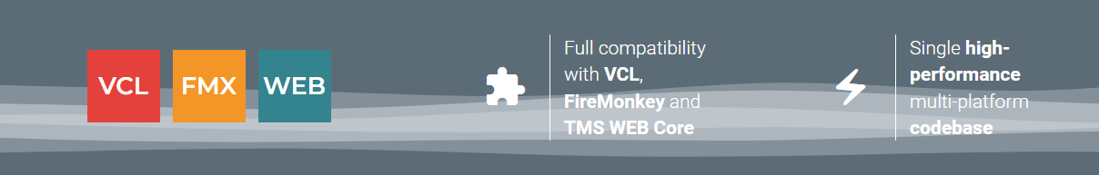 TMS Software Delphi  Components 