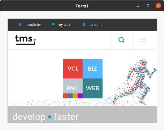 TMS Software Delphi  Components 