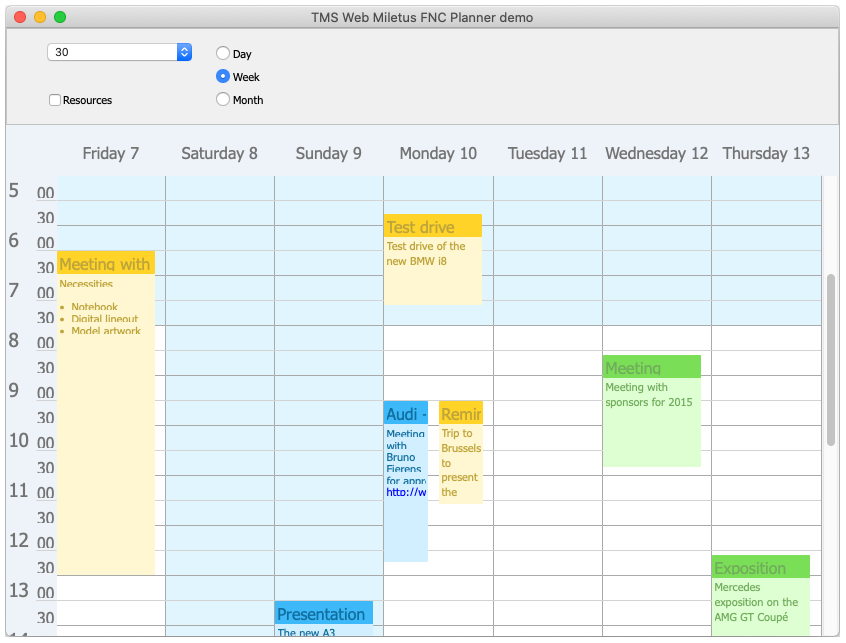 TMS Software Delphi Components