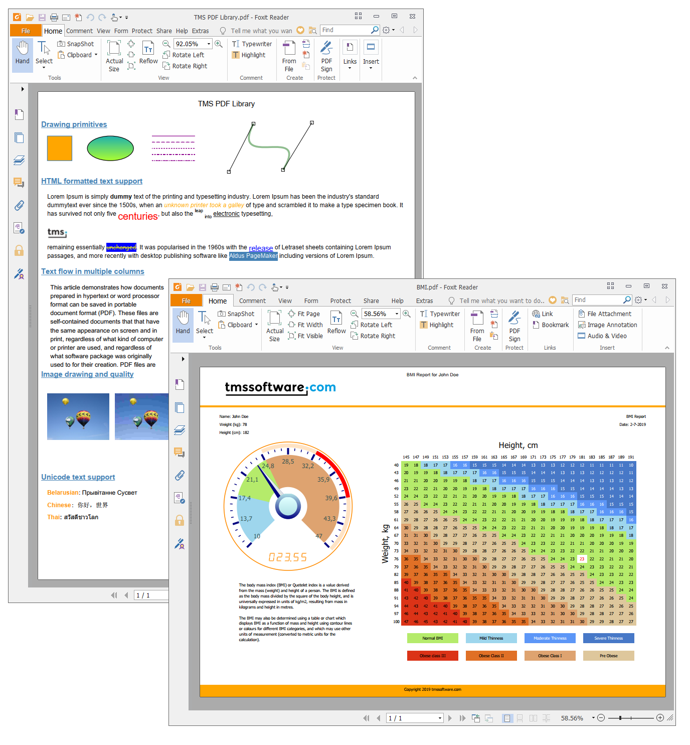 TMS Software Delphi Components