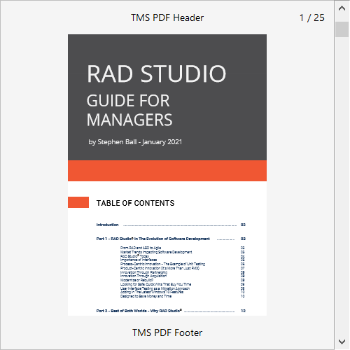 TMS Software Delphi  Components 