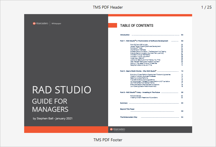 TMS Software Delphi  Components 