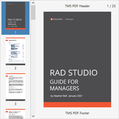 TMS Software Delphi  Components 