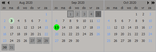 Delphi component VCL Planner Calendar