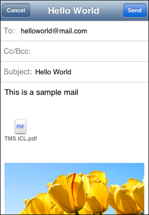 TTMSFMXNativeMFMailComposeViewController