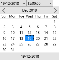 TTMSFNCDateTimePicker