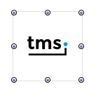 TTMSFNCImage