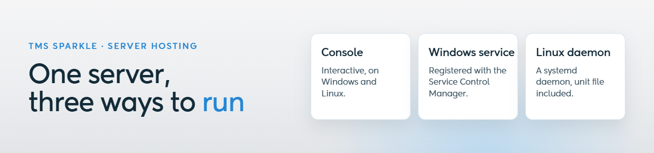 TMS Software Delphi  Components 