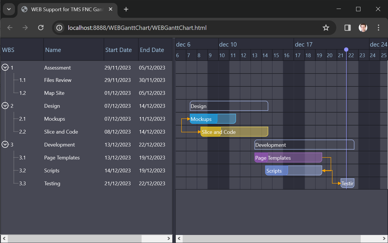 TMS Software Delphi  Components 