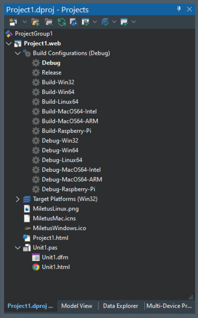 TMS Software Delphi  Components 