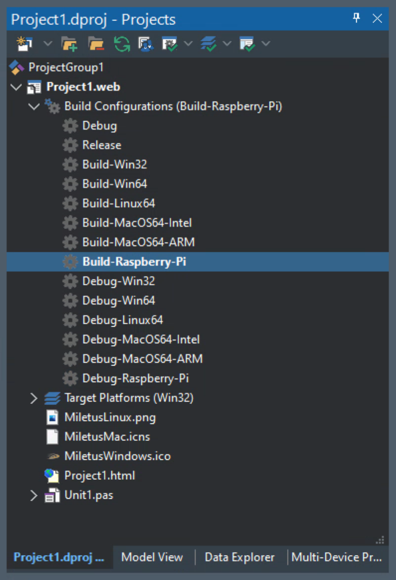 TMS Software Delphi  Components 