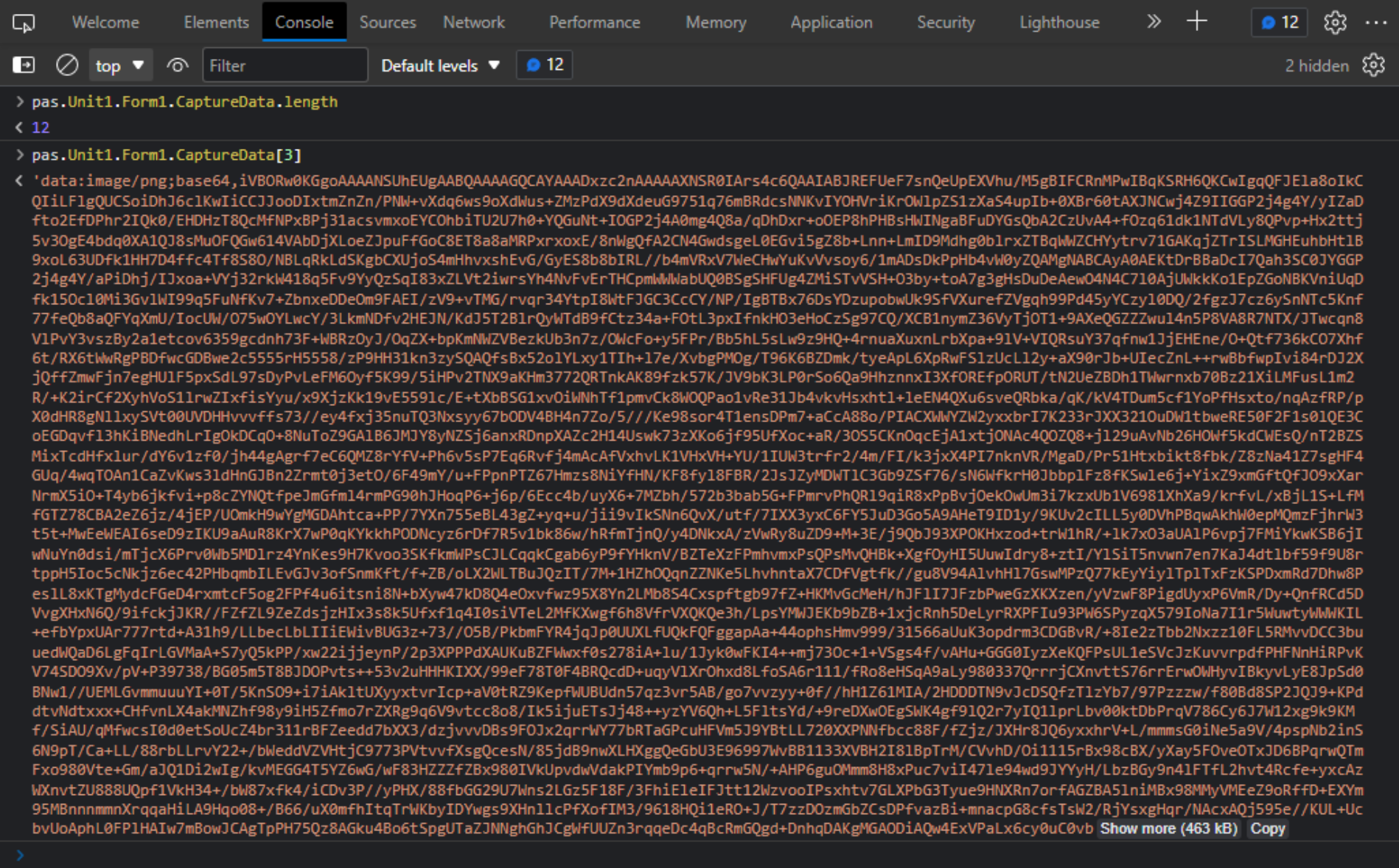 TMS Software Delphi  Components 