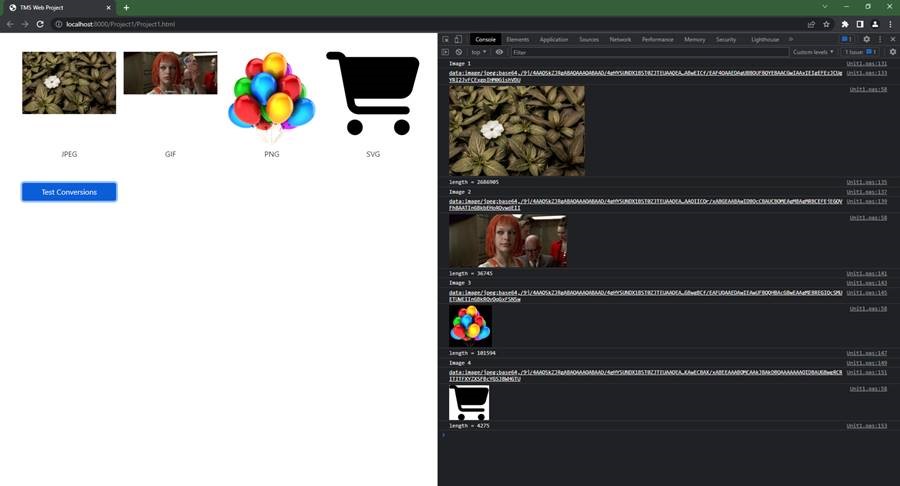 TMS Software Delphi Components