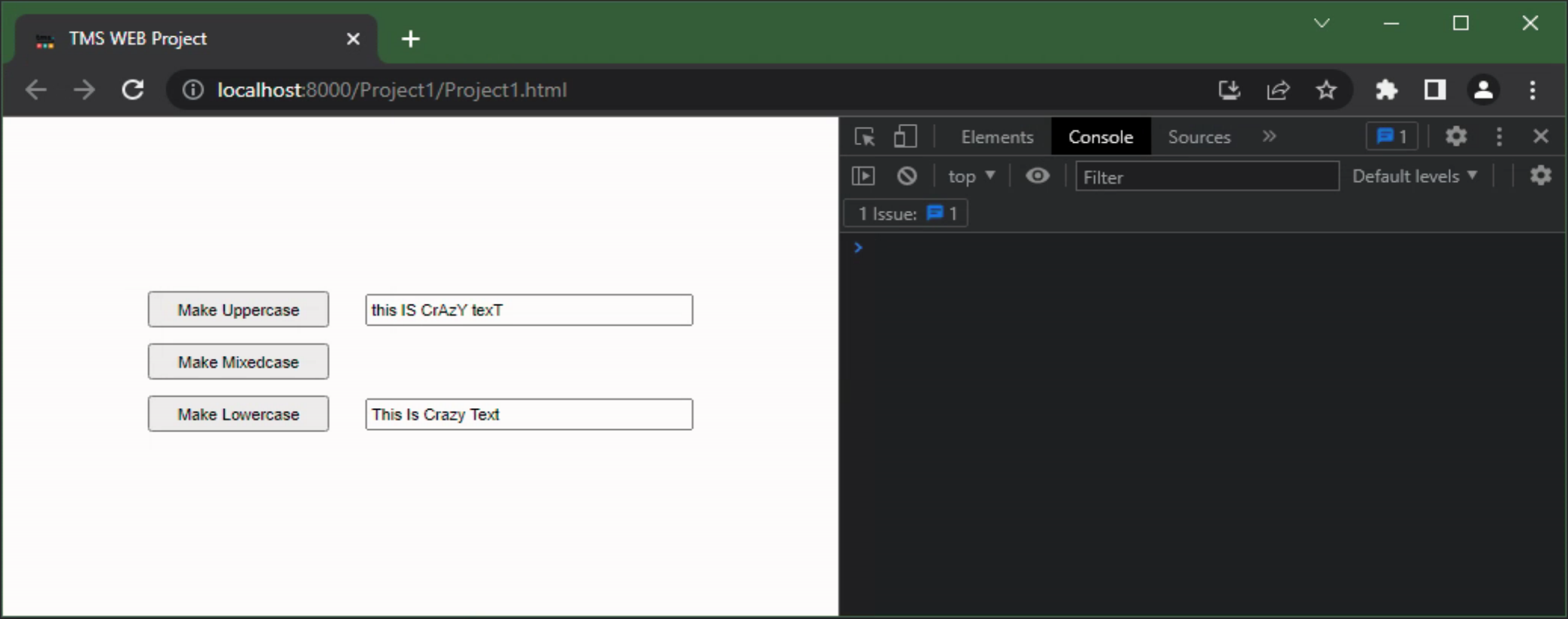 TMS Software Delphi  Components 