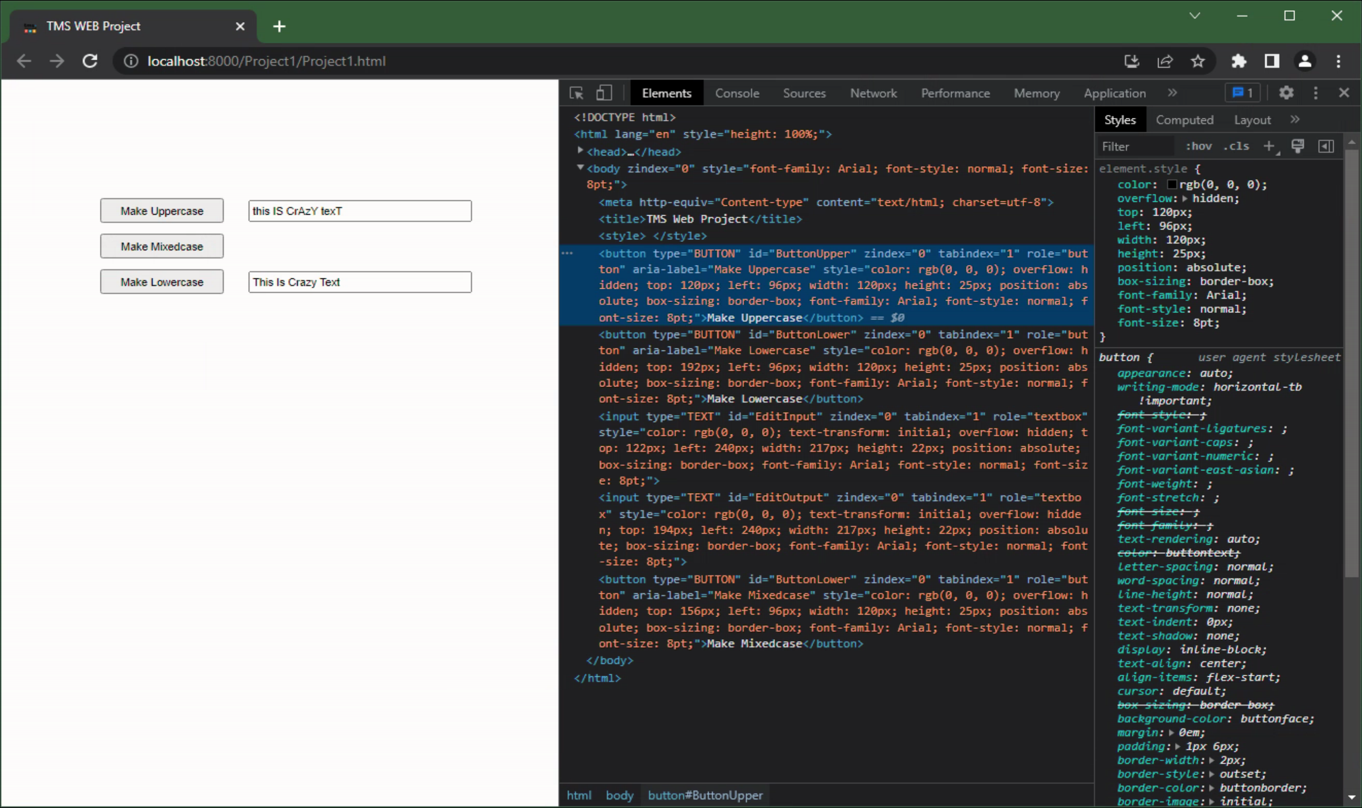 TMS Software Delphi  Components 