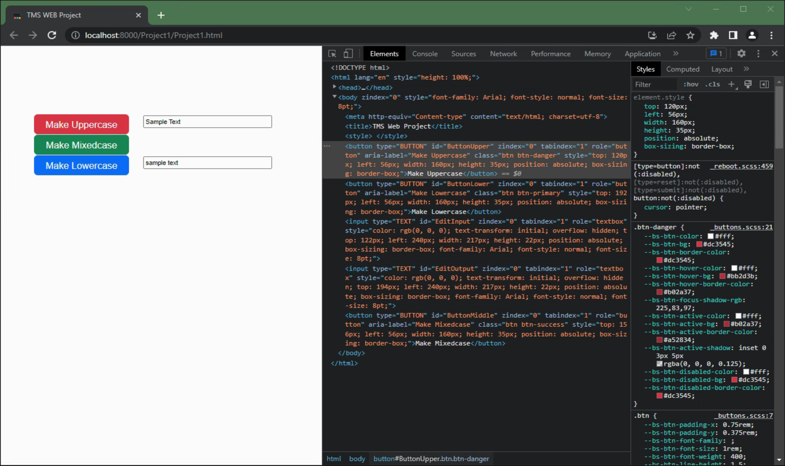 TMS Software Delphi  Components 