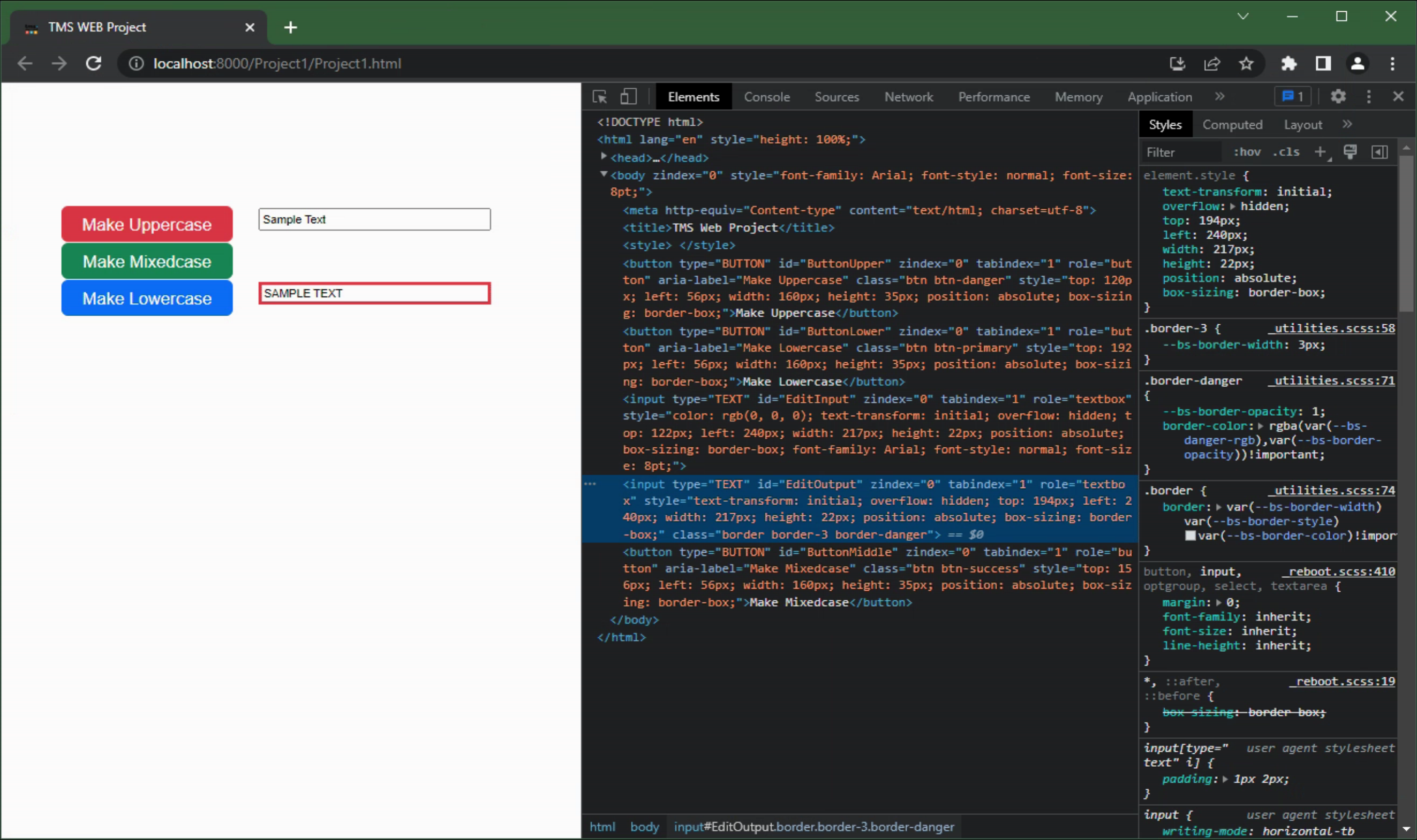 TMS Software Delphi  Components 