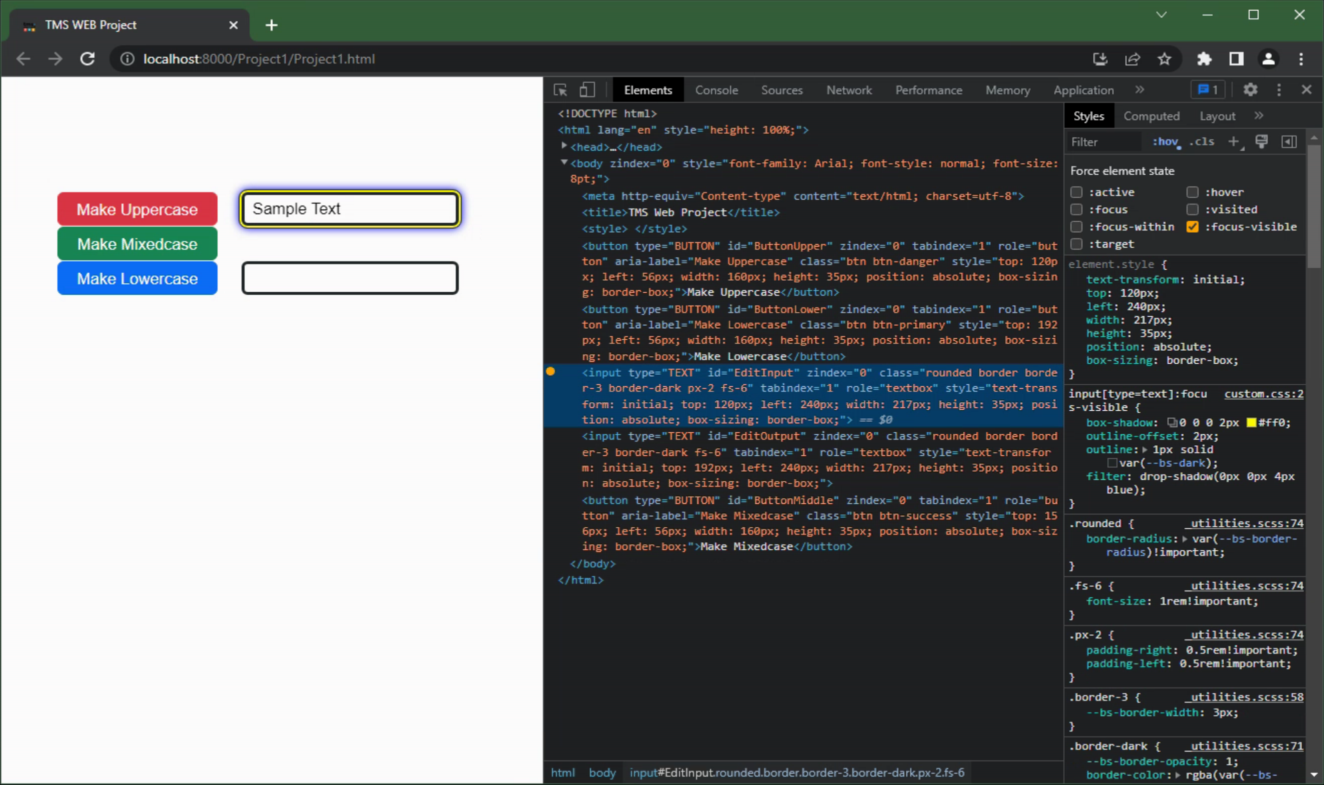 TMS Software Delphi  Components 