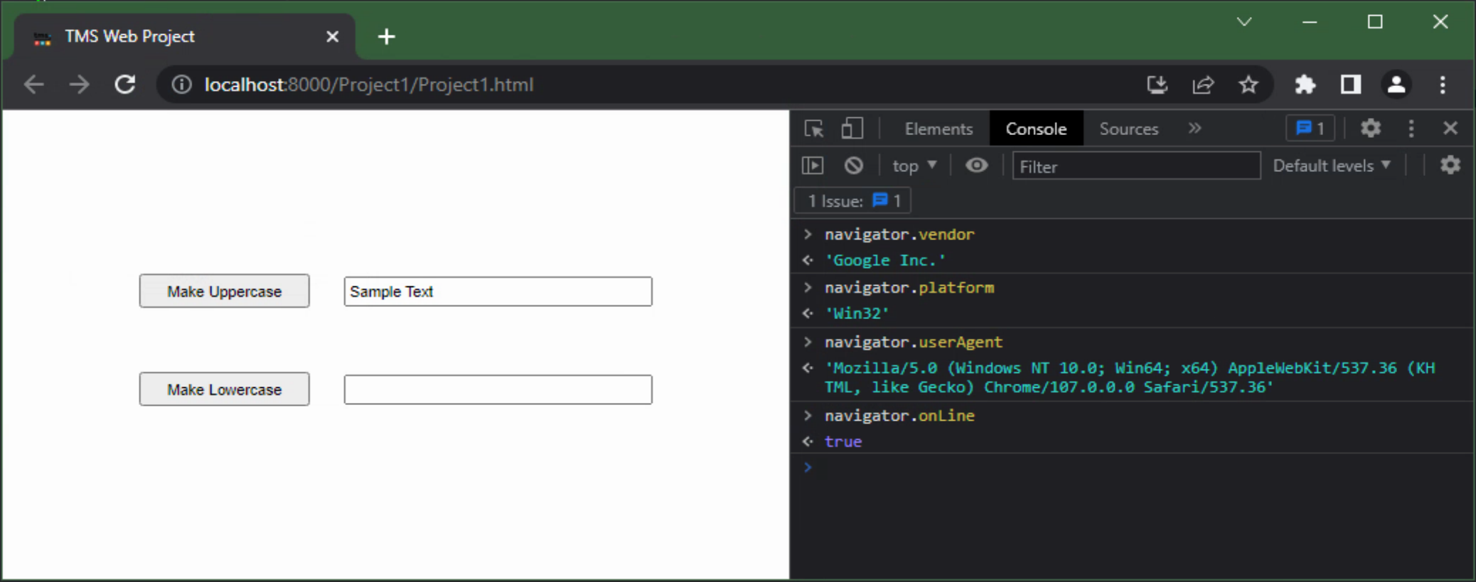 TMS Software Delphi  Components 