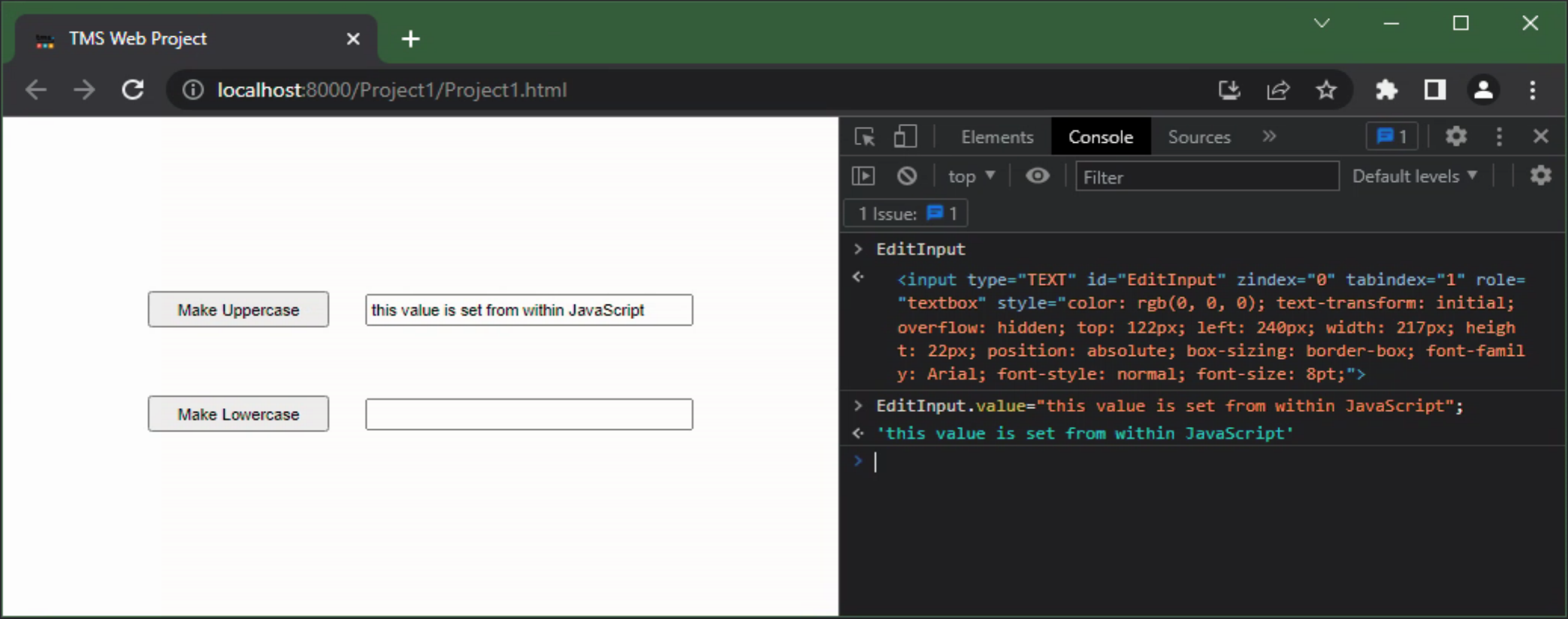 TMS Software Delphi  Components 