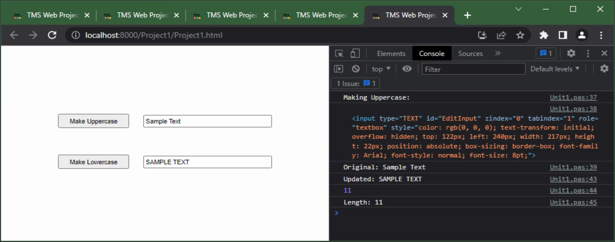 TMS Software Delphi  Components 