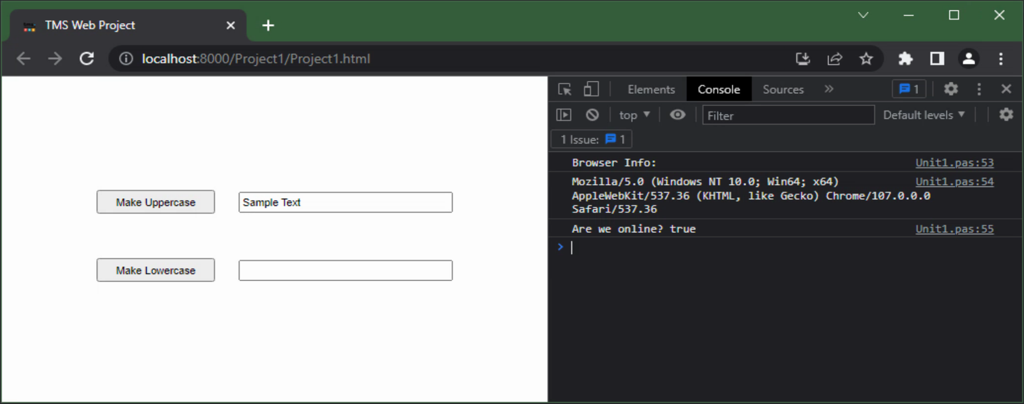 TMS Software Delphi  Components 