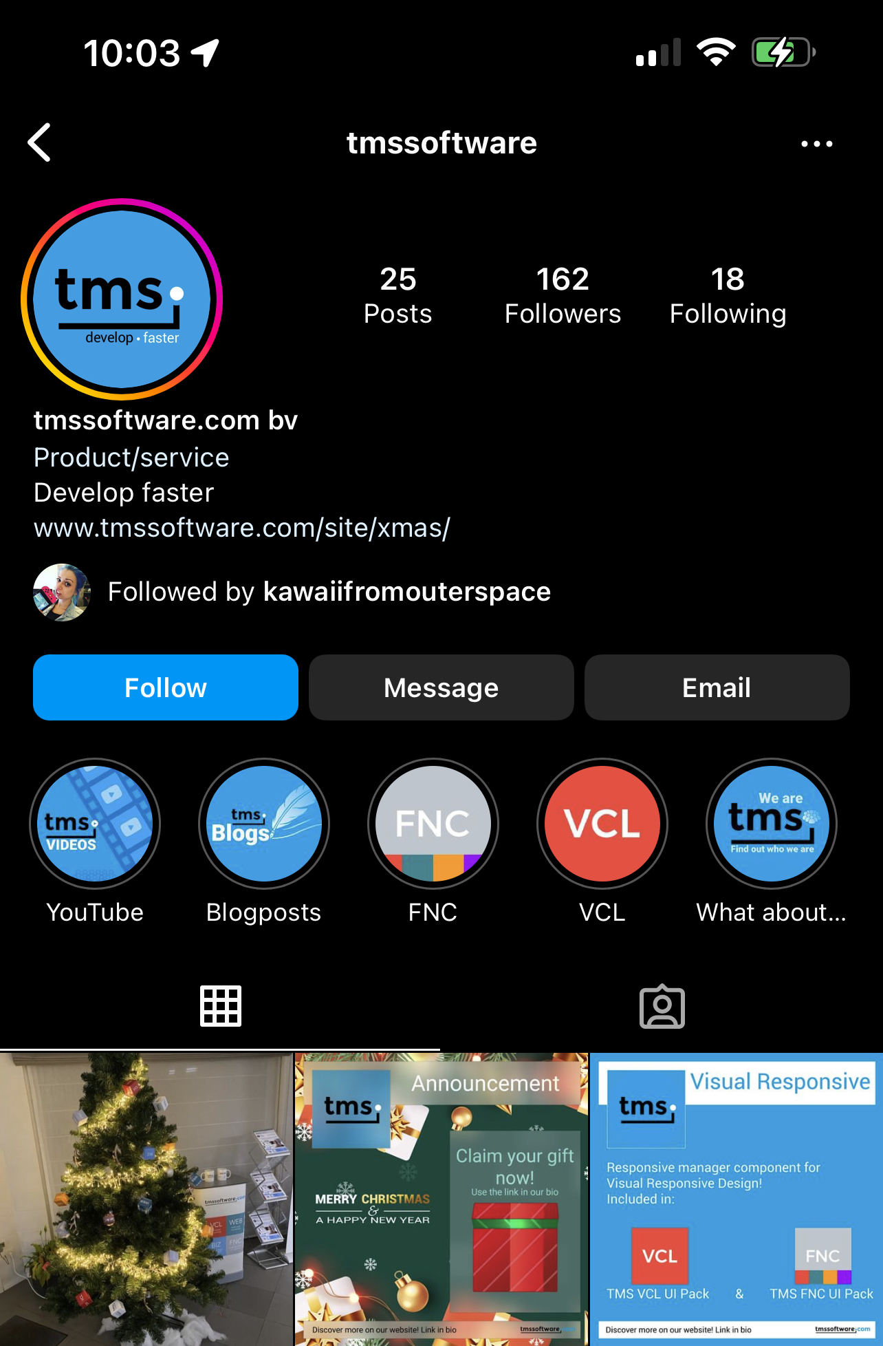 TMS Software Delphi Components