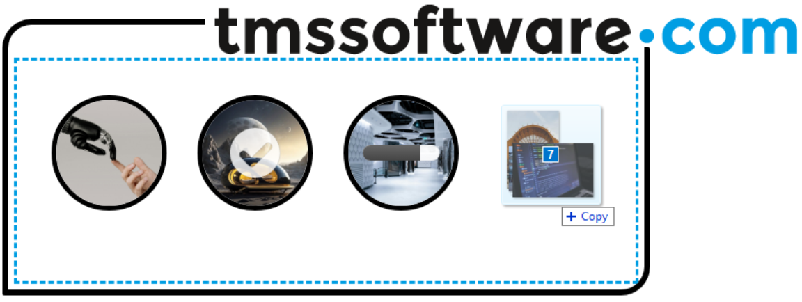 TMS Software Delphi  Components 