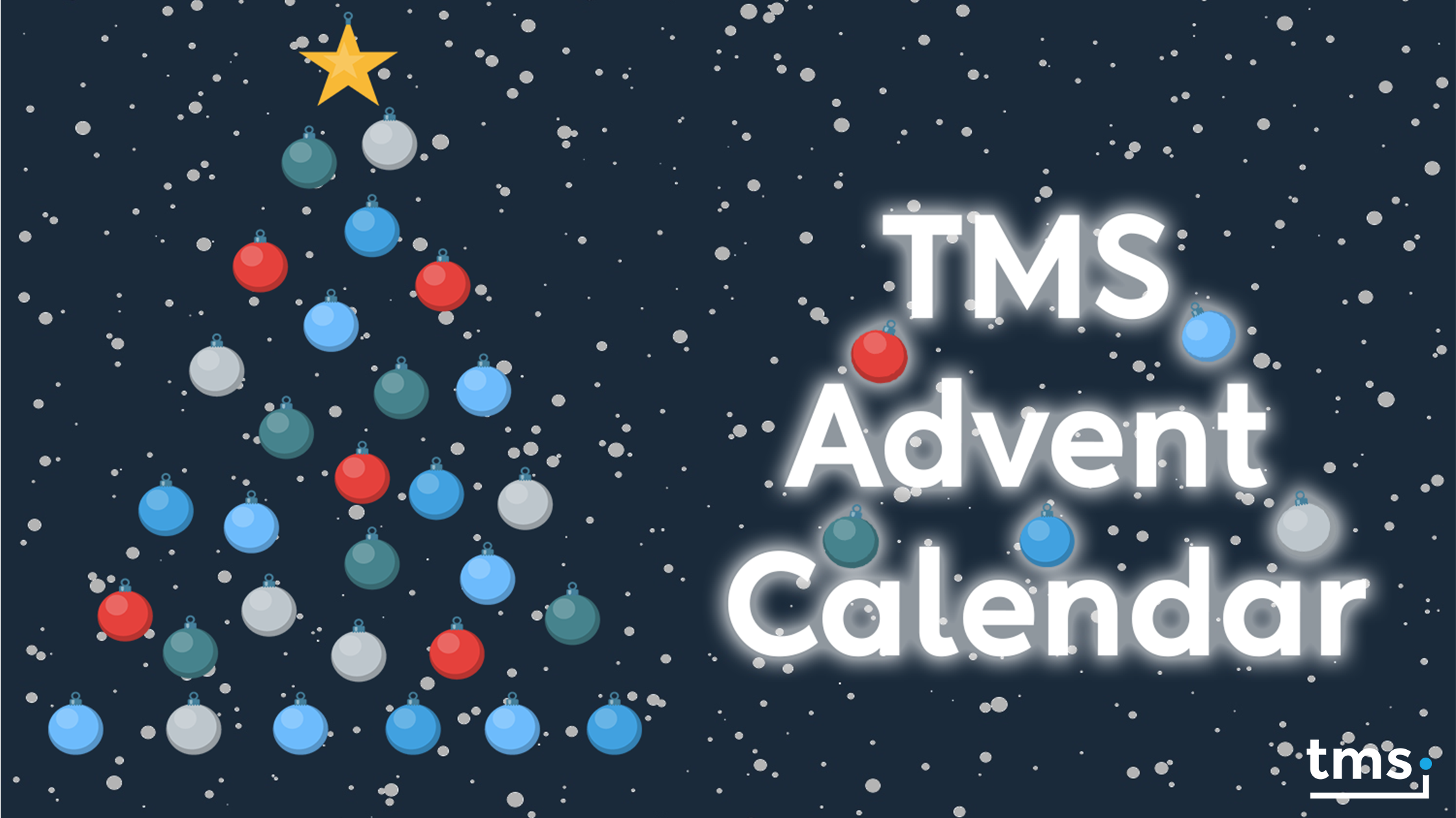 TMS Software Delphi  Components 