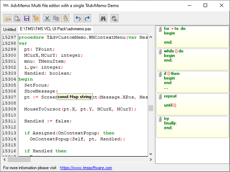 TMS Software Delphi  Components 