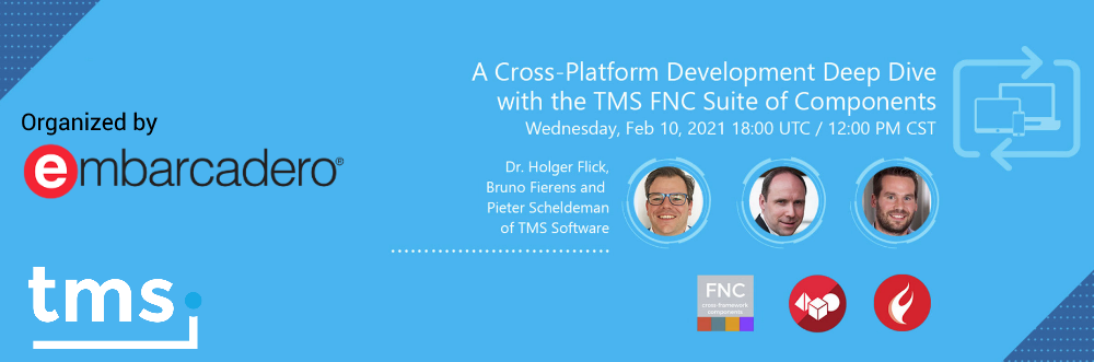TMS Software Delphi  Components 