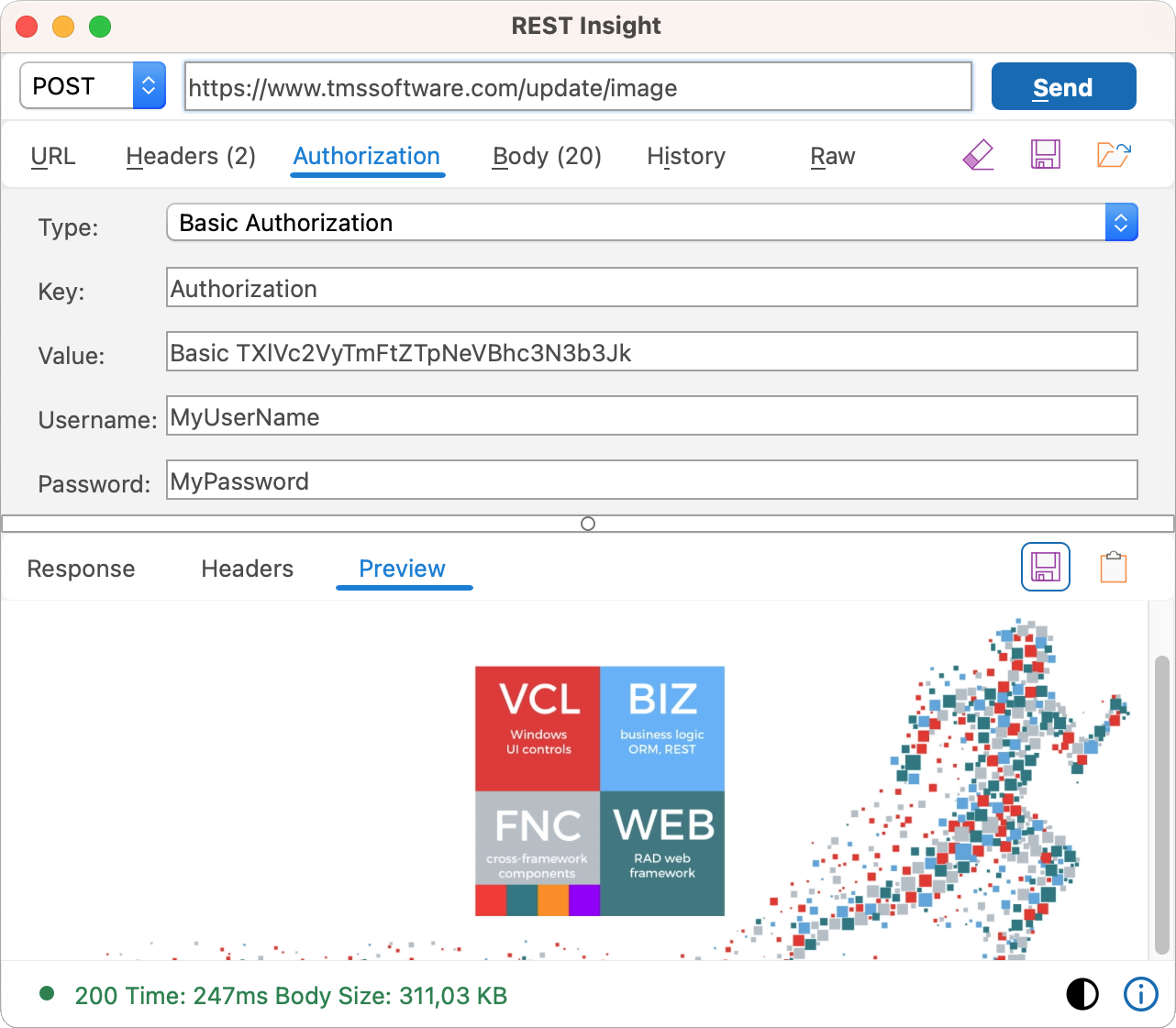 TMS Software Delphi  Components 