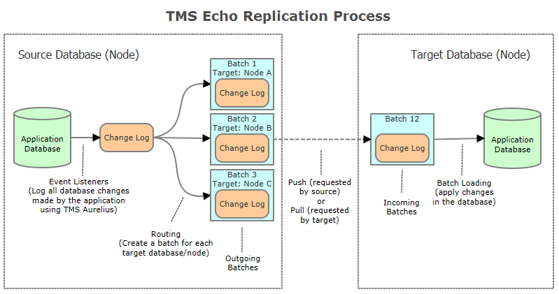 TMS Echo