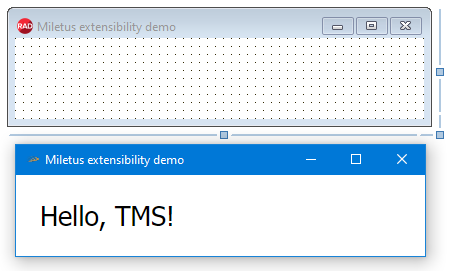 TMS Software Delphi  Components 