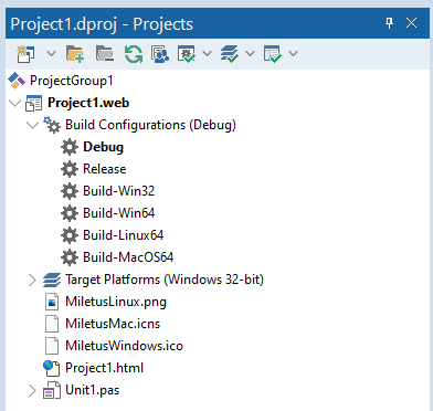 TMS Software Delphi  Components 