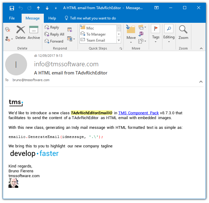 TMS Software Delphi  Components 