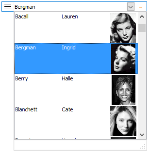 TMS Software Delphi Components