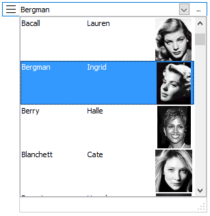 TMS Software Delphi  Components 