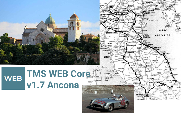 TMS Software Delphi Components